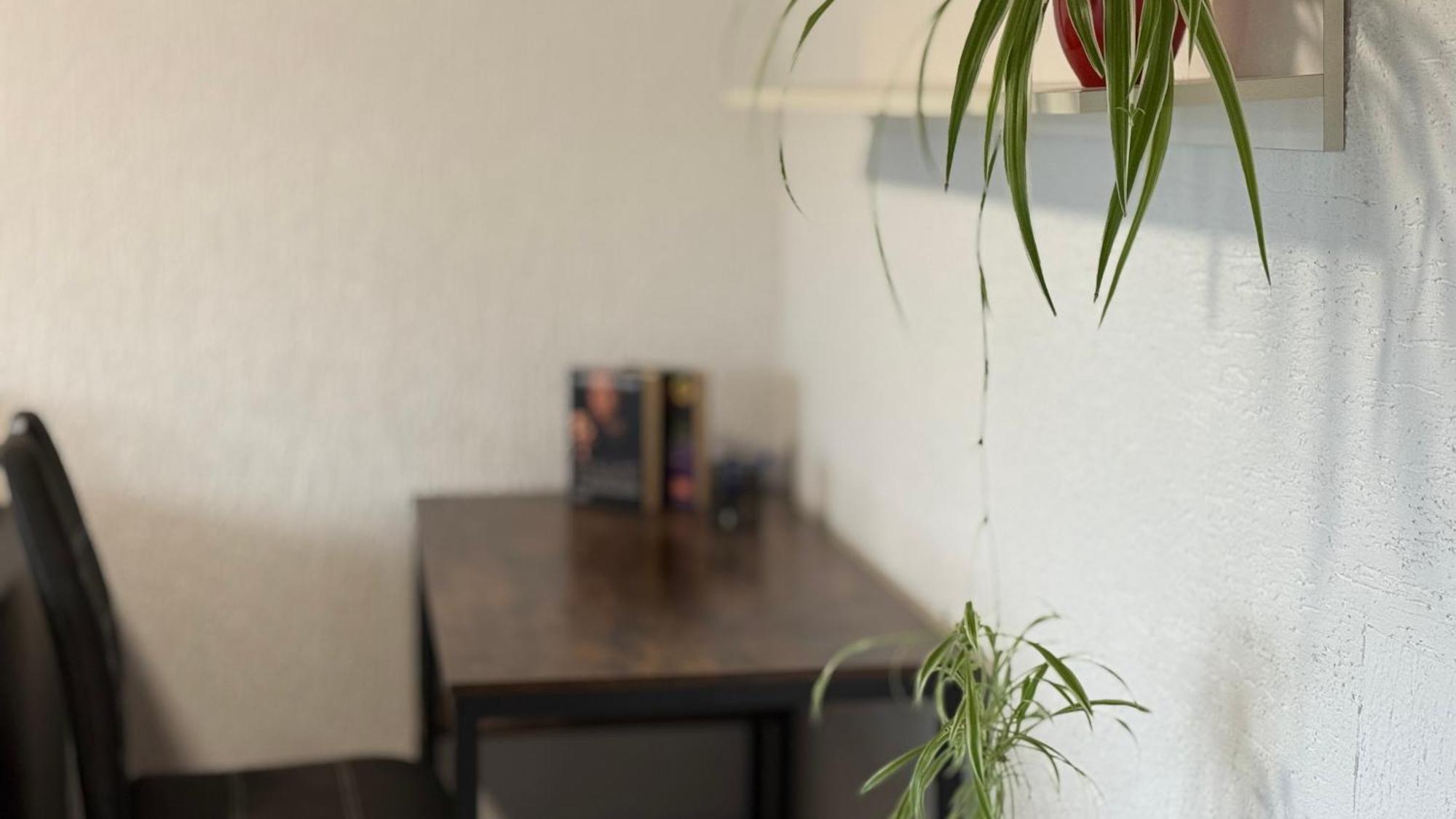 Gemuetliche 2 Zimmer Wohnung Bad Hersfeld Dış mekan fotoğraf